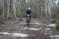 BTTBURELA2013-95