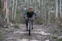 BTTBURELA2013-96