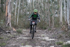 BTTBURELA2013-97