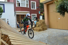 2014DHUSARRIA-293