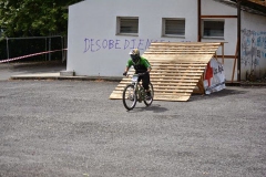 2014DHUSARRIA-300