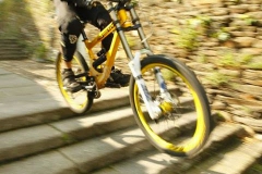 2014DHUSARRIA-316