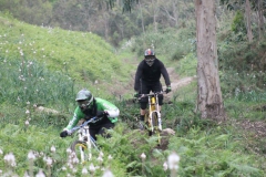 KDD_Freeirde_Naron_2014-48