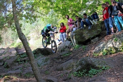 DH_Vigo_2014-16