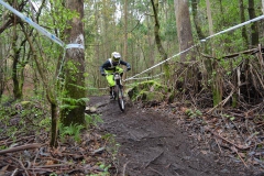 DH_Kamikazes_2014-26