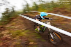 DH_Kamikazes_2014-43