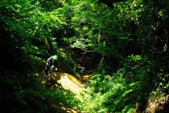 Enduro_Montefaro_2014-91