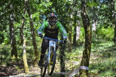 Santiago_VI_GP_Descenso-54