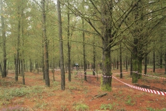 Green_Mountain_Race_2014-117