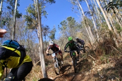 Ruta_Medelal_2014-24