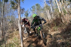 Ruta_Medelal_2014-26