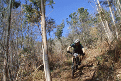 Ruta_Medelal_2014-28-MOTION