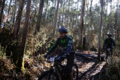 Ruta_A_Merluza_BURELA-45