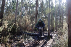 Ruta_A_Merluza_BURELA-46