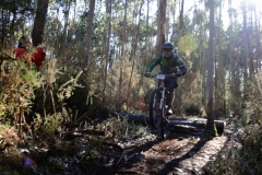 Ruta_A_Merluza_BURELA-48
