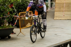 DHU_2015-101