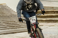 DHU_2015-107