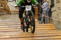 DHU_2015-115