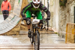 DHU_2015-116