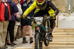 DHU_2015-121