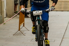 DHU_2015-125