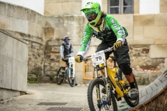 DHU_2015-131