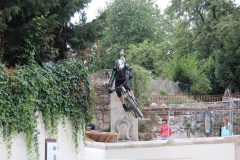 DHU_2015-146