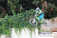 DHU_2015-161