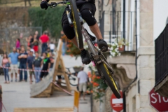 DHU_2015-20