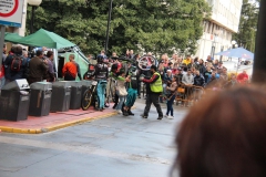 DHU_2015-219