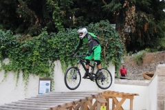 DHU_2015-239