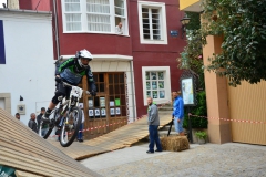 DHU_2015-248