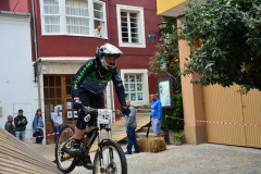 DHU_2015-250