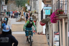 DHU_2015-290