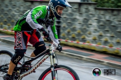 DHU_2015-293