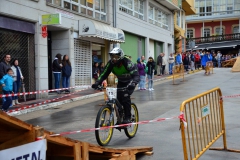 DHU_2015-295