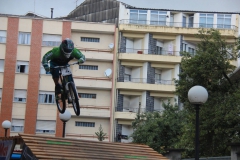 DHU_2015-301