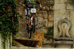 DHU_2015-51