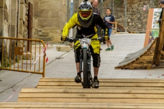 DHU_2015-70