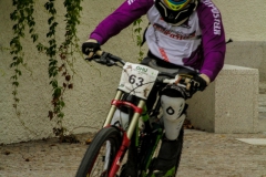 DHU_2015-72