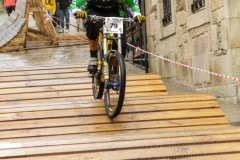 DHU_2015-88