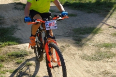 DIA_DE_LA_BICI-151