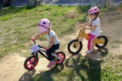 DIA_DE_LA_BICI-2