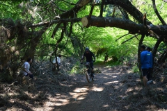 Enduro_Mugardos_2015-99