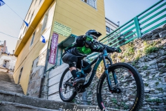 DHU_SARRIA_2016-311