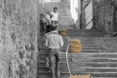 DHU_SARRIA_2016-354