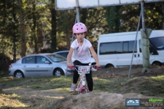 dia_da_bici_2016-212