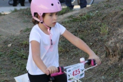 dia_da_bici_2016-218