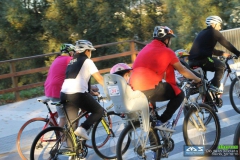 dia_da_bici_2016-24