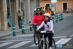 dia_da_bici_2016-253